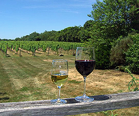 Two glasses of wine sitting on a railing with vinyard in the background